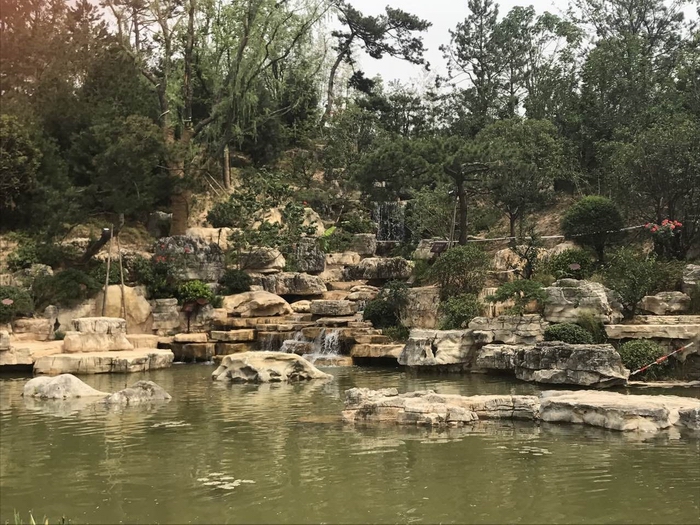 QQ圖片20170619140637.jpg
